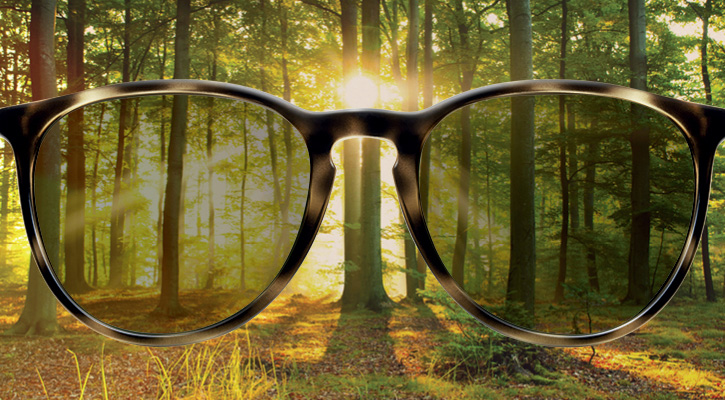 iets levend Isaac Alle brillen en brillenglazen op een rij | Pearle Opticiens