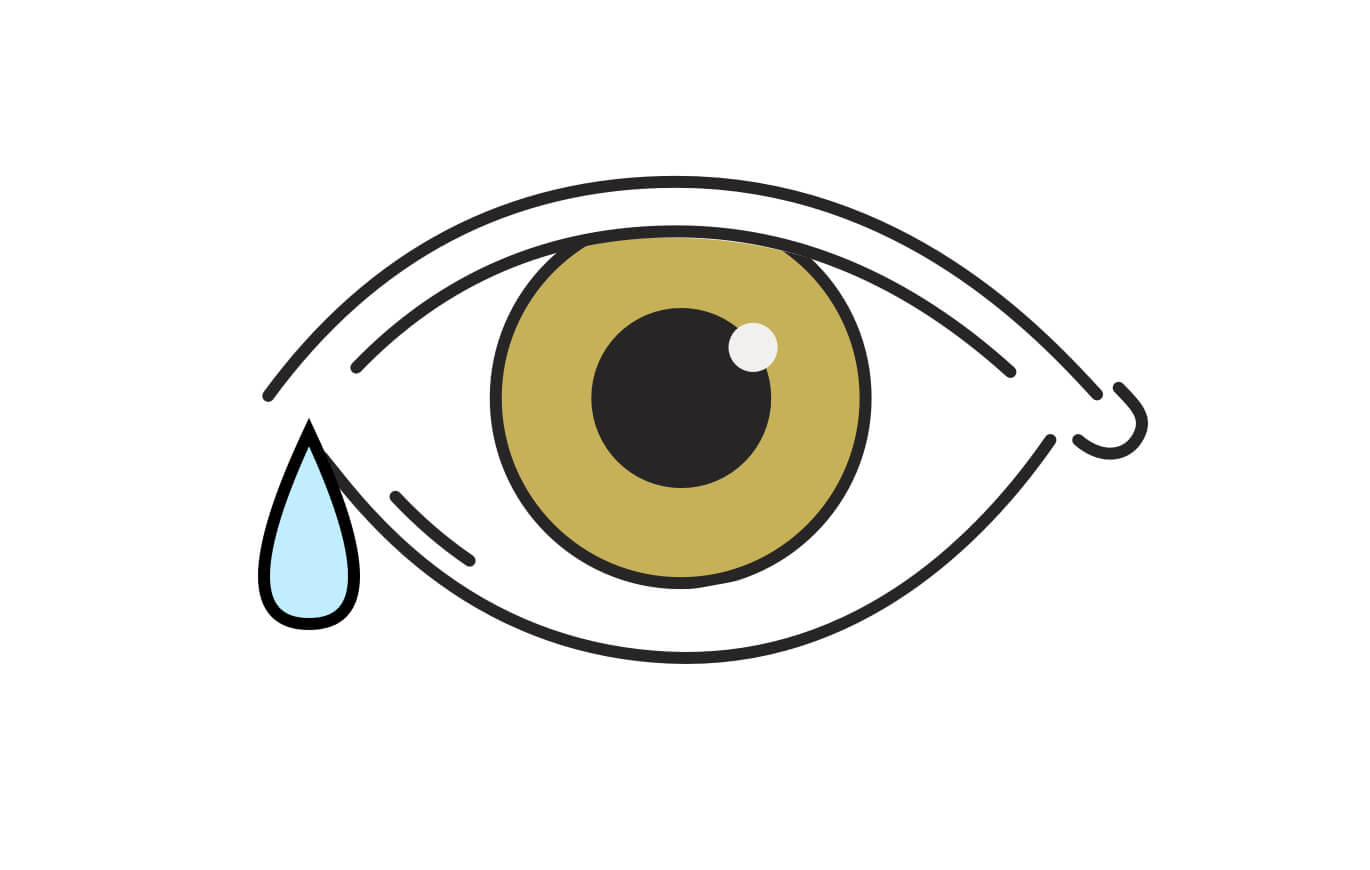 The Composition of Tears and Their Role in Eye Health